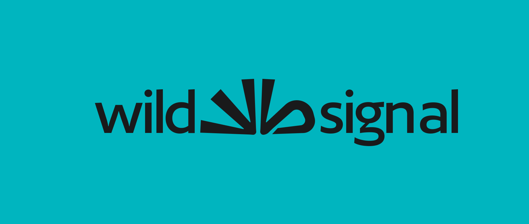 Wild Signal Logo Sea